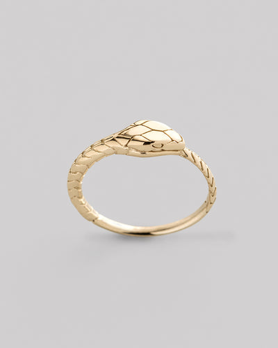 Anillo OUROBOROS (oro amarillo de 14 quilates) — imagen principal
