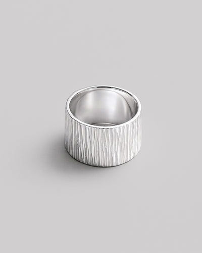 Silver ring TEXTURE