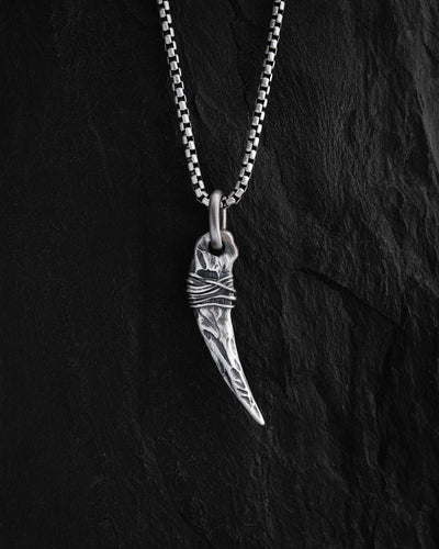 Silver pendant FANG