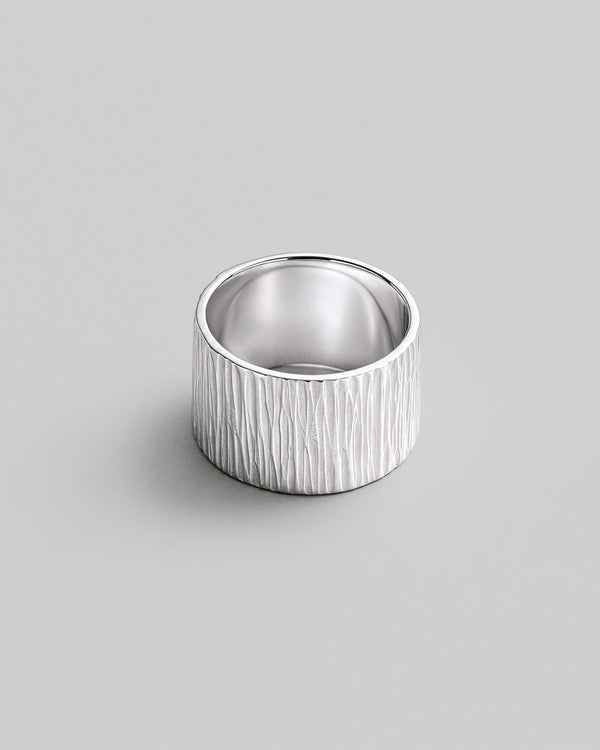 Silver ring TEXTURE