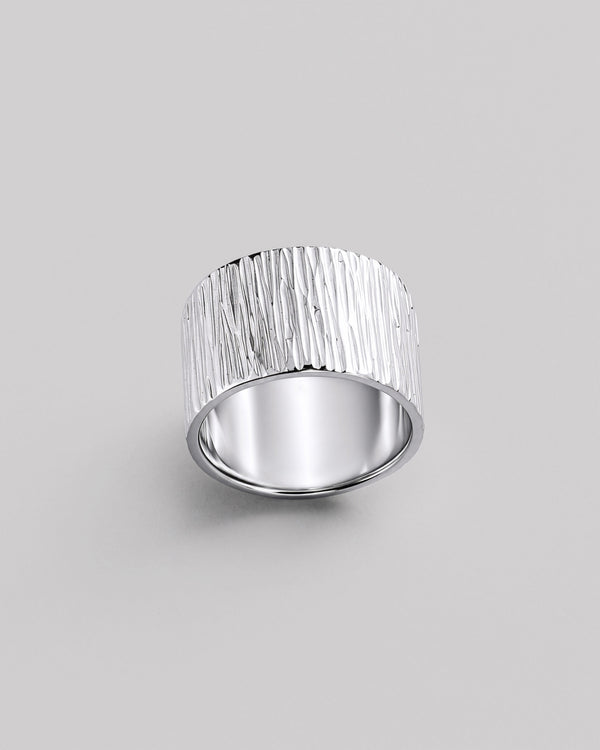 Silver ring TEXTURE