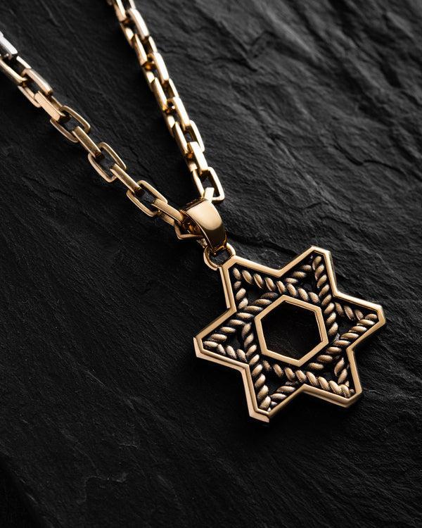Anhänger DAVIDSTERN (14k Gelbgold)