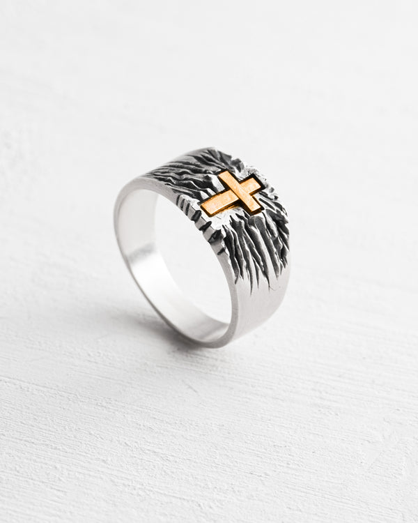 Silver ring IN FIDE (14K yellow gold insert)