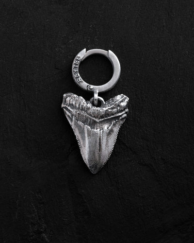 Hõbekõrvarõngas Megalodoni hammas