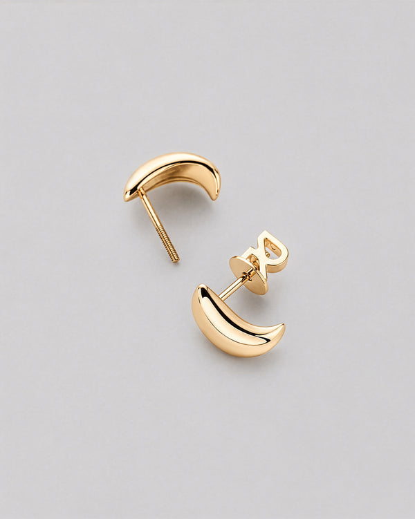 Stud earrings ROSÉE (14k yellow gold) — pilt 1